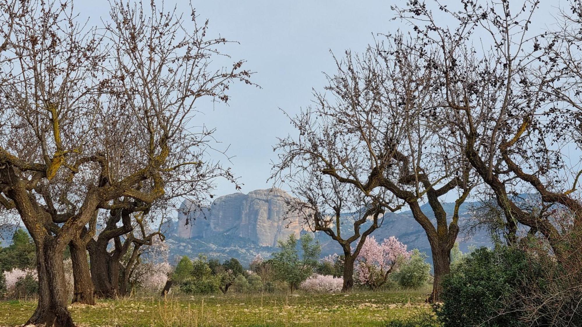 Les Valletes Arnés Exterior foto
